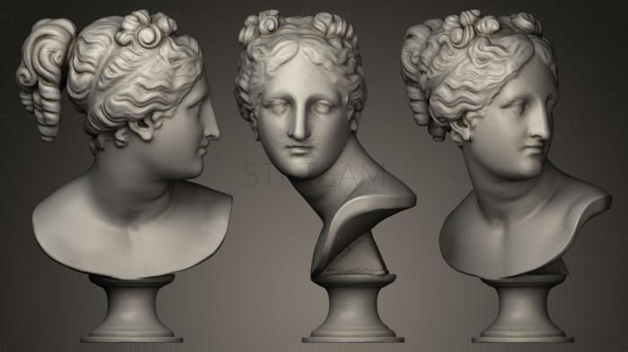 Бюсты и головы античные и исторические Венера Итальянская